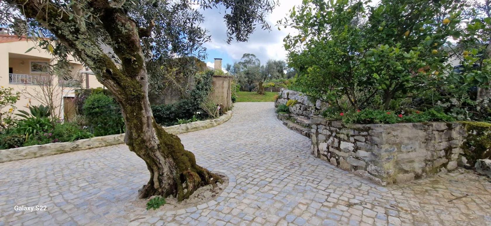فيلا Casa Dos Amigos أنسياو المظهر الخارجي الصورة